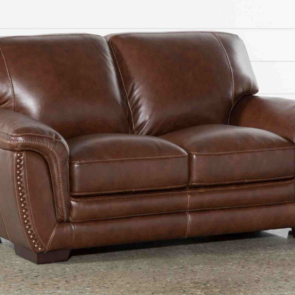 Leather Loveseat Sofa