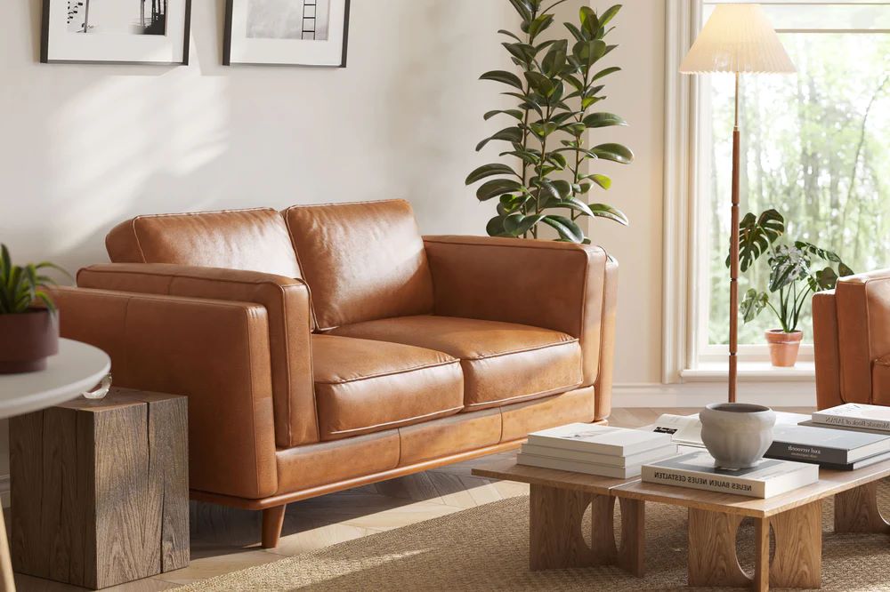 Leather Loveseat Sofa