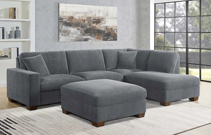 Costco Sleeper Sofa with Chaise