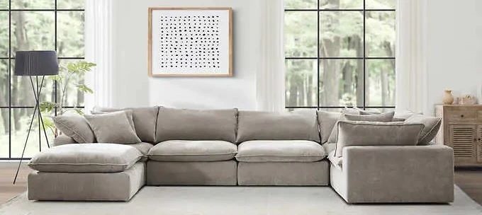 Costco Sleeper Sofa with Chaise